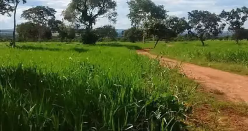 Fazenda à venda na Zona Rural, Jangada 