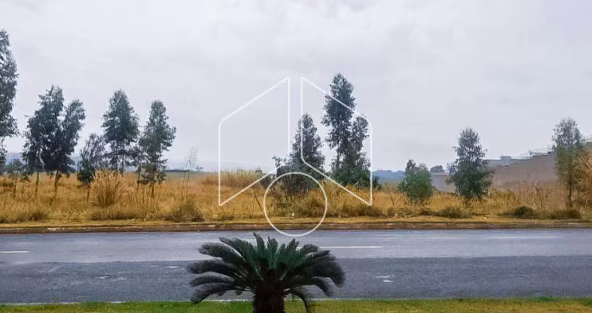 Terreno Área em Marília