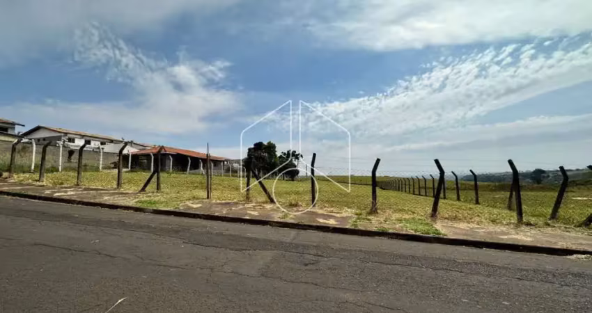 Terreno Área em Marília