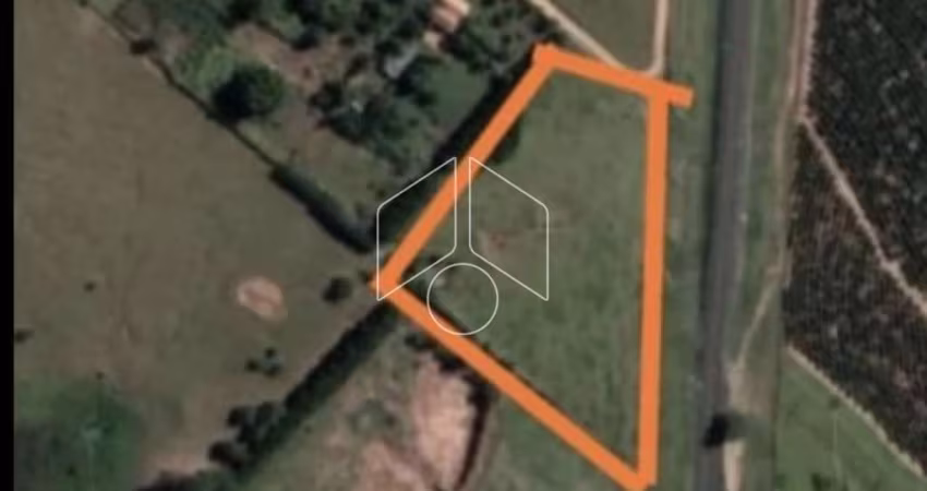 Terreno Área em Marília