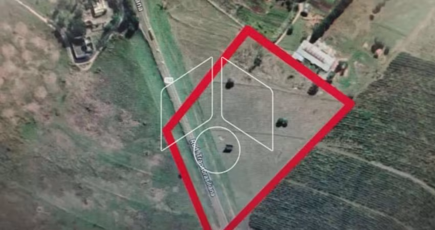 Terreno Área em Marilia