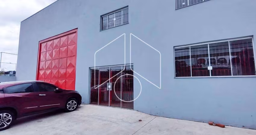 Comercial GalpãoBarracão em Marília