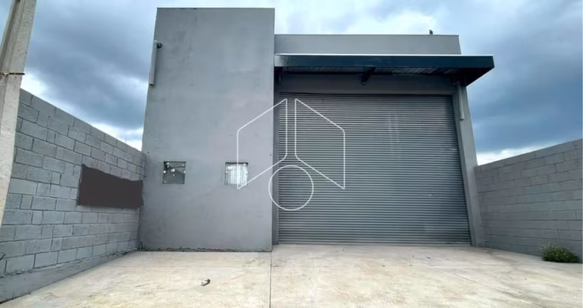 Comercial GalpãoBarracão em Marília