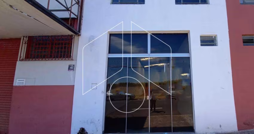 Comercial GalpãoBarracão em Marília
