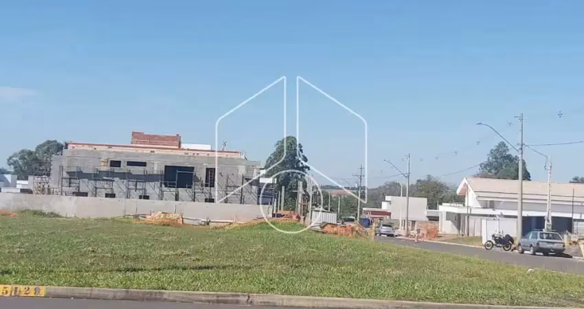Terreno à venda na Avenida Antônio Borella, Quadra 15, 10294, Jardim São Domingos, Marília