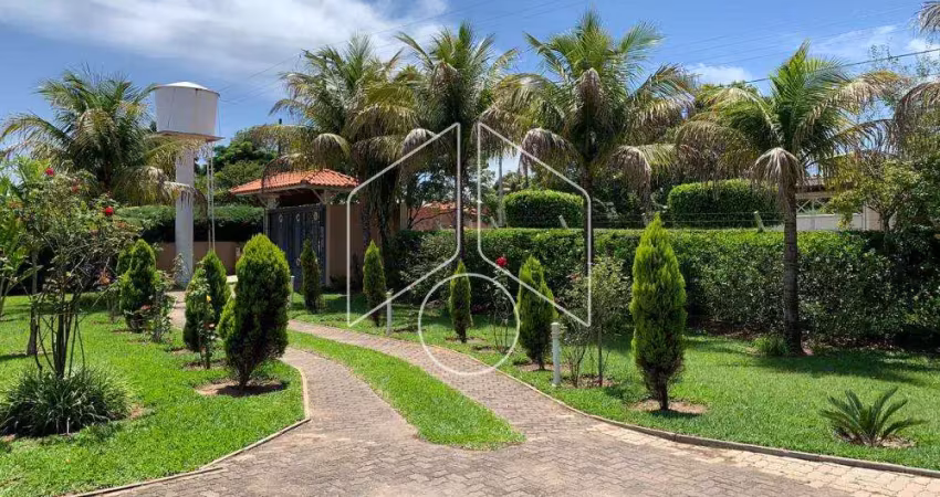 Chácara / sítio com 3 quartos à venda na Avenida João Spadoto, Quadra 13, 30274, Sítios de Recreio Santa Rosa (Padre Nóbrega), Marília
