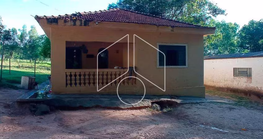 Rural SítioFazenda em Marilia