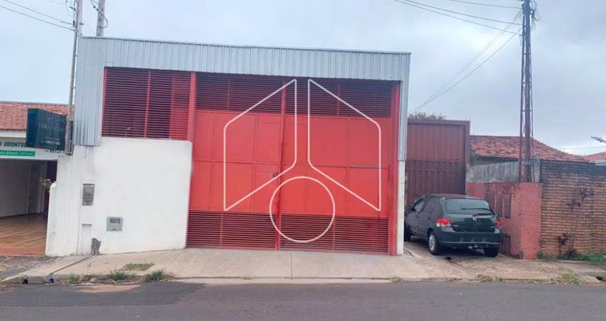 Comercial GalpãoBarracão em Marília