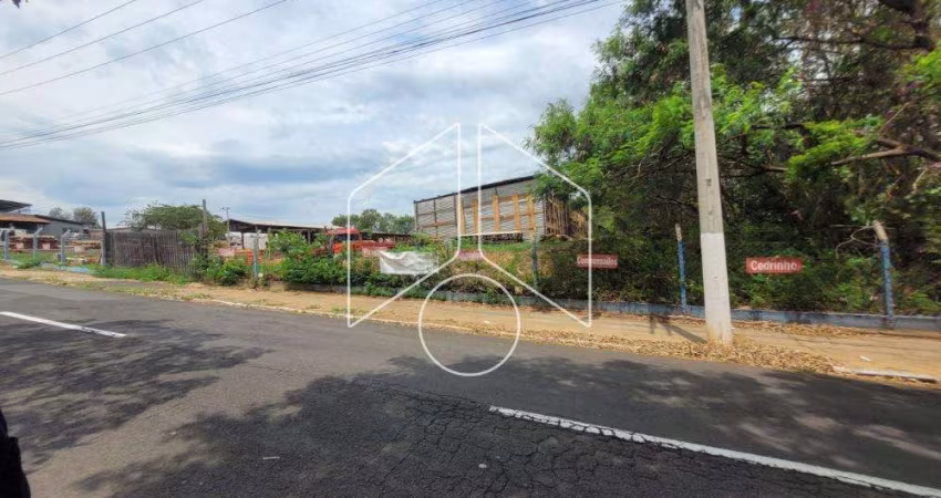 Comercial GalpãoBarracão em Marília