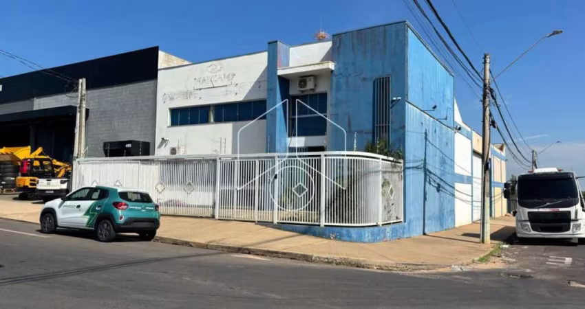 Comercial GalpãoBarracão em Marília