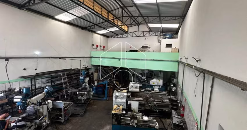 Comercial GalpãoBarracão em Marília