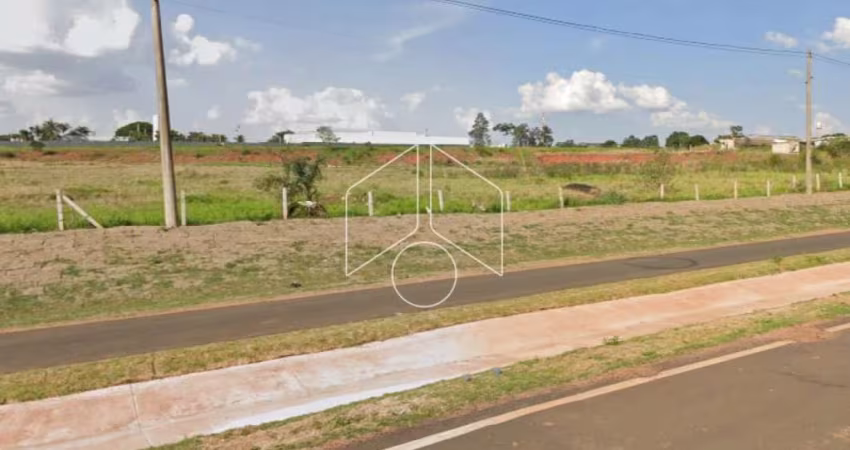 Terreno Área em Marília