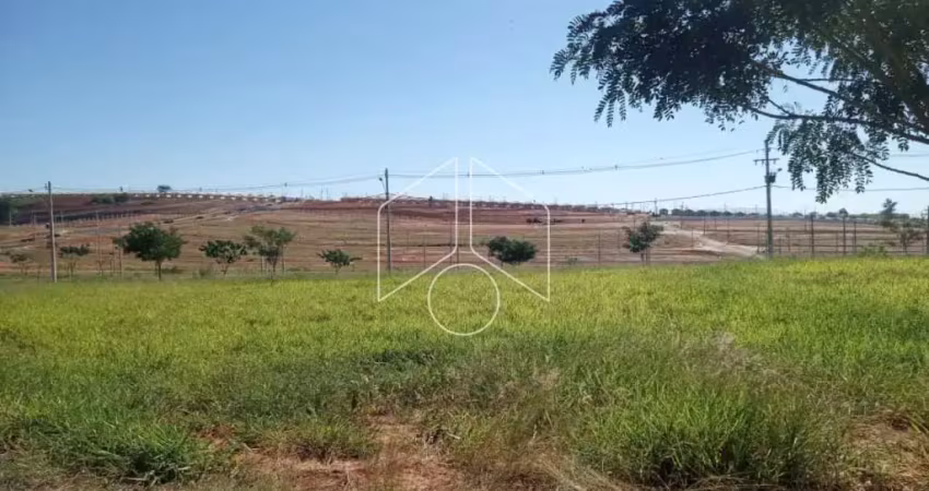 Terreno à venda na Rua Magali Aparecida Pinha Amaral Alonso, 55, Parque das Flores, Marília