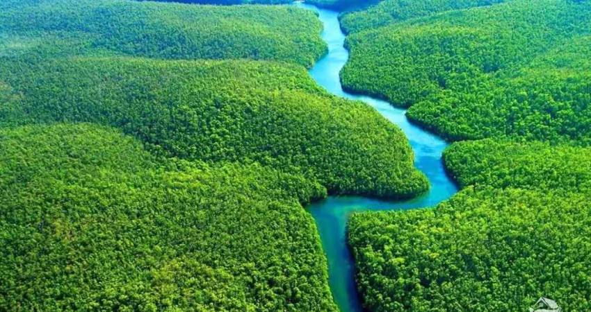 Área lindíssima de 69.140 hectares na amazônia ocidental