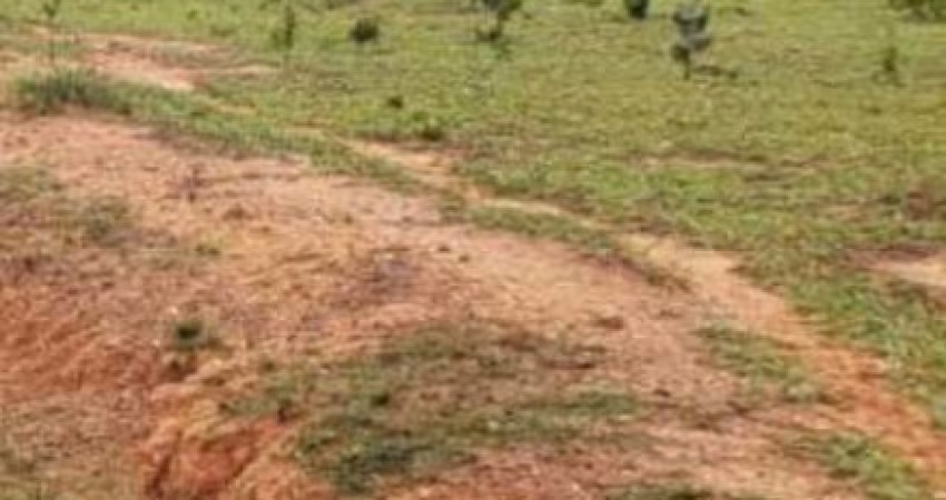 FAZENDA EXCELENTE EM REGIÃO SUPER VALORIZADA - IMPERDÍVEL!