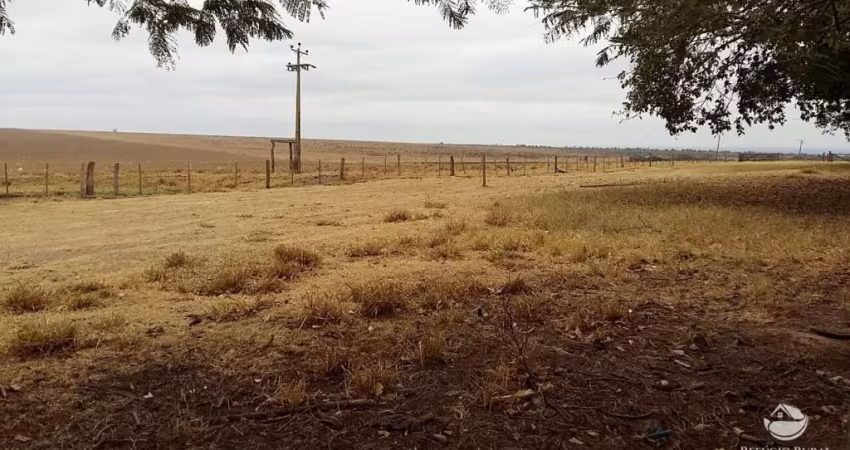 LINDA FAZENDA DUPLA APTIDÃO - OPORTUNIDADE ÚNICA!