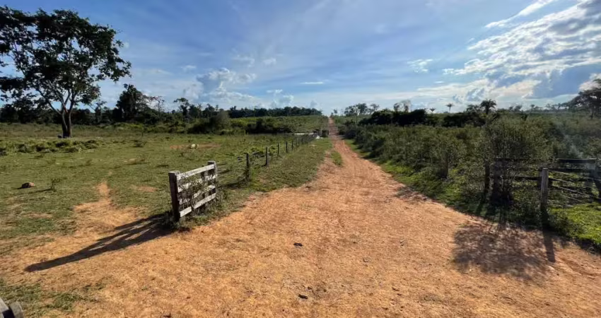 Fazenda à venda no Centro, Nova Canãa do Norte 