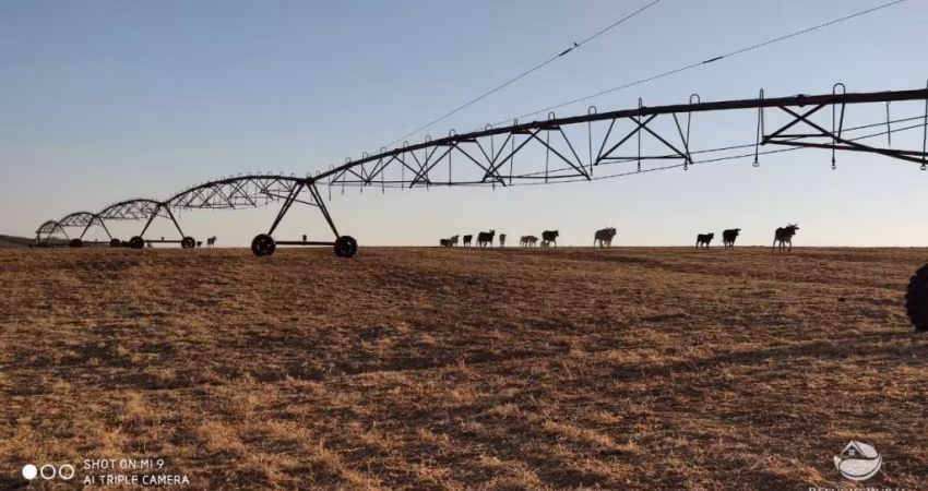 FAZENDA IMPERDÍVEL COM ÓTIMA ESTRUTURA EM CAMPO ALEGRE/GO
