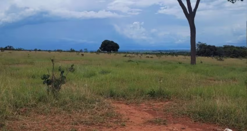 FAZENDA DUPLA APTIDÃO  EM COXIM/MS
