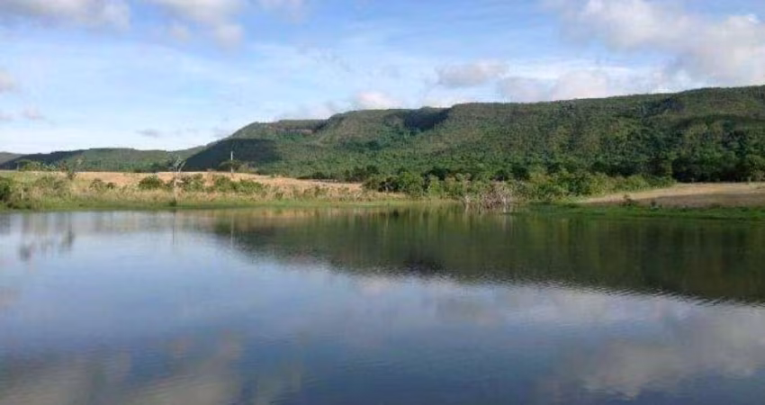 FAZENDA EM BOM JARDIM/MT - PREÇO EXCELENTE OPORTUNIDADE ÚNICA!