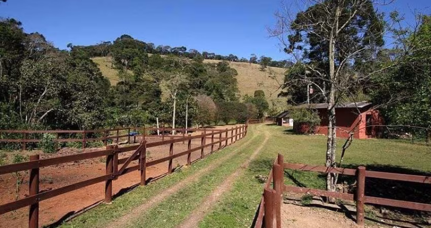 HARAS INCRÍVEL EM SANTO ANTÔNIO PINHAL/SP