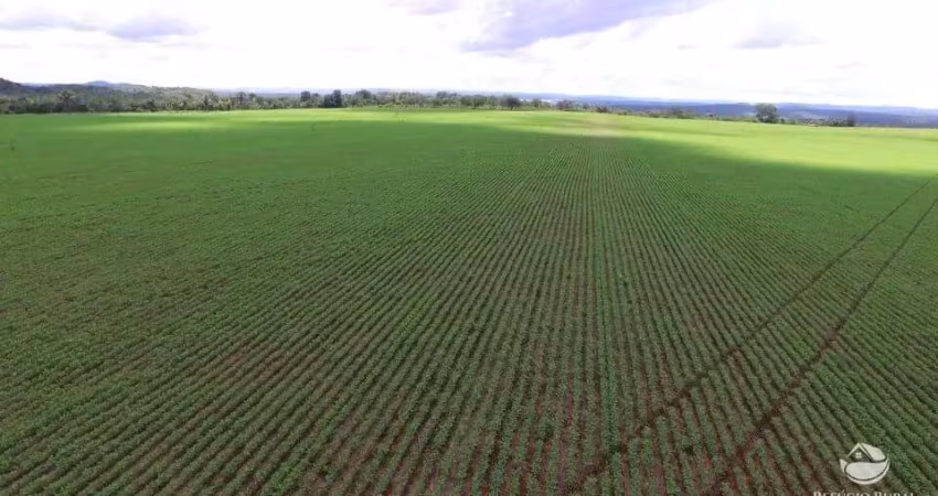 FAZENDA BEM ESTRUTURADA EM PALMEIRAS/TO