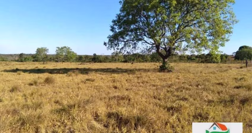FAZENDA Á VENDA ÁREA RURAL DE JUARINA/TO