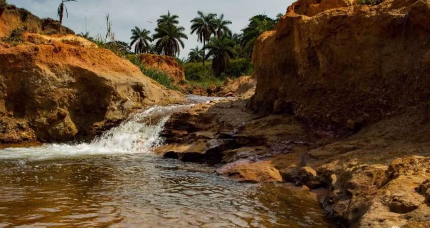 FAZENDA COM PLANTAÇÃO DE CAFÉ, SOJA E CASA MUITO BOA EM PATOS DE MINAS