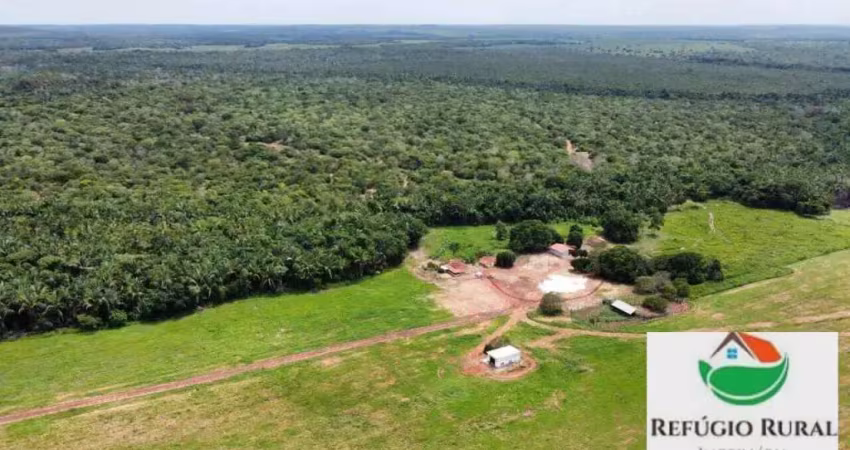 Fazenda à venda no Setor Central, Rio dos Bois 