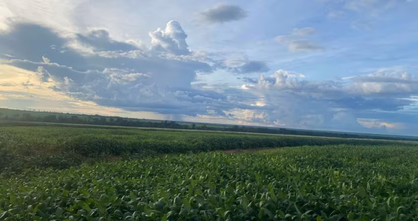 FAZENDA EM GAÚCHA DO NORTE/ MT - GRANDE OPORTUNIDADE DE NEGÓCIO.