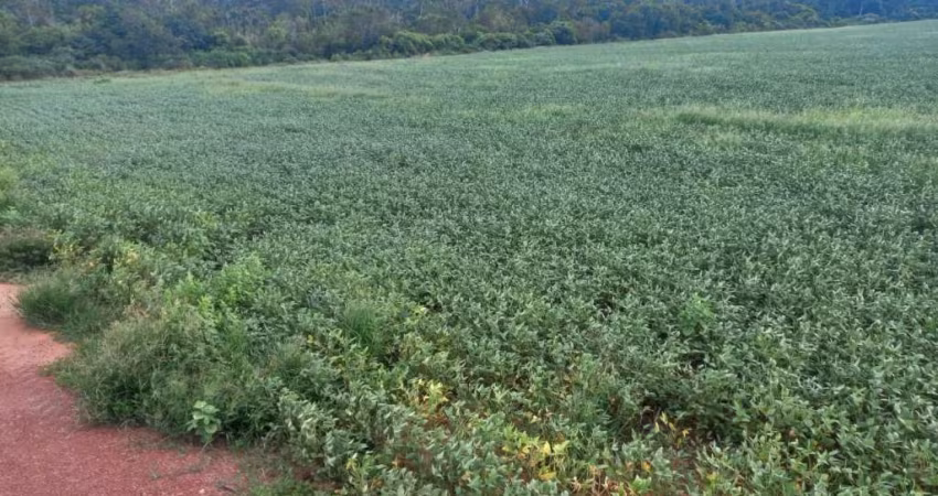 FAZENDA COM ÓTIMA ESTRUTURA EM JUARA/MT