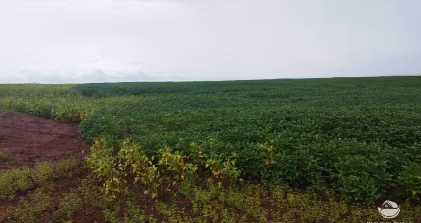 FAZENDA IMPERDÍVEL NA REGIÃO SUL DO TOCANTINS