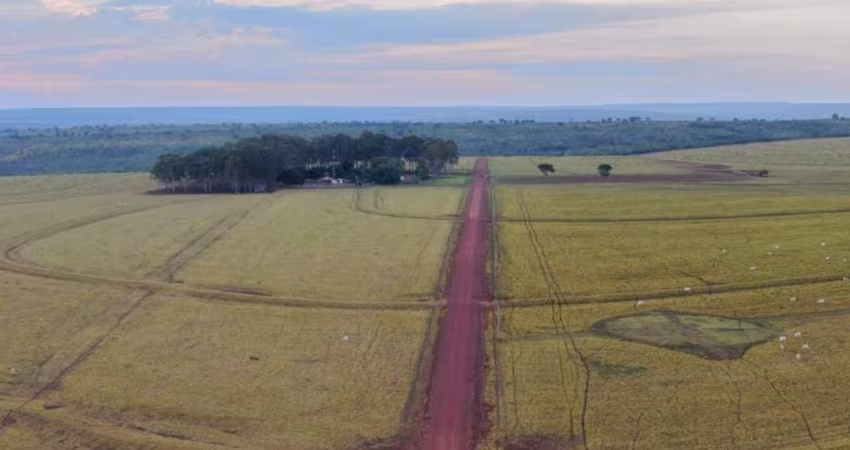 FAZENDA COM ÁREA ESTRUTURADA EM NOVA XAVANTINA/MT