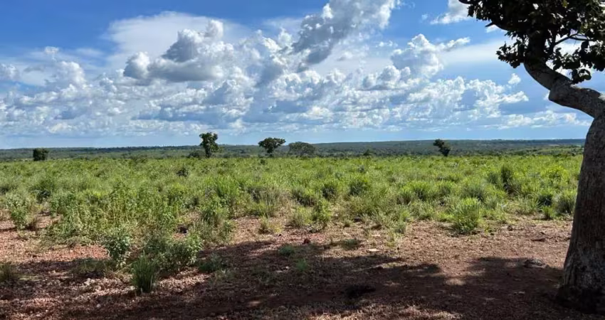 Fazenda à venda no Setor Central, Duerê 