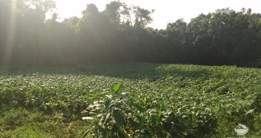 FAZENDA COM MATA NATIVA EM SANTA CRUZ DO SUL/RS