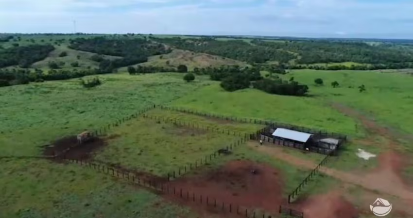 FAZENDA INCRÍVEL EM GURUPI/TO