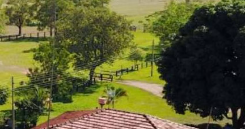 FAZENDA INCRÍVEL NA REGIÃO DO CHAPADÃO DO SUL