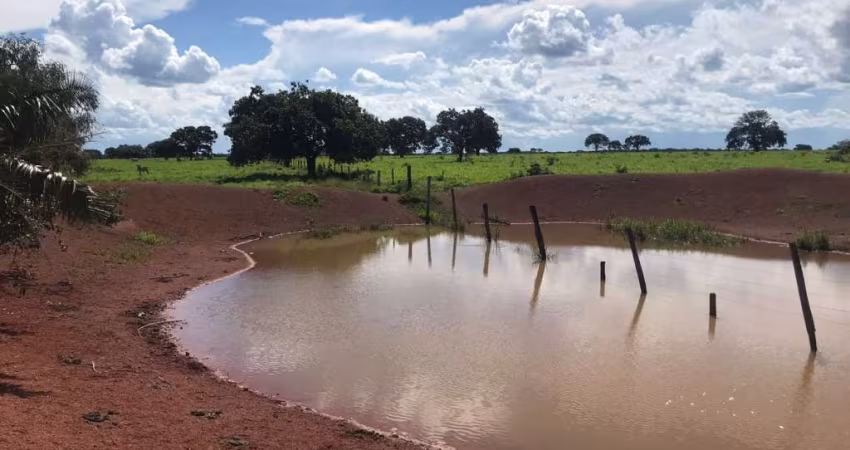 FAZENDA ESTRUTURADA PARA PECUÁRIA– LAGOA DA CONFUSÃO/ TO - NO VALE DO ARAGUAIA -