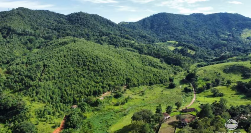 FAZENDA EM PIRACAIA COM VÁRIAS NASCENTES E MUITO EUCALIPTO