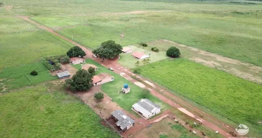 Fazenda à venda no Centro, Santa Terezinha 