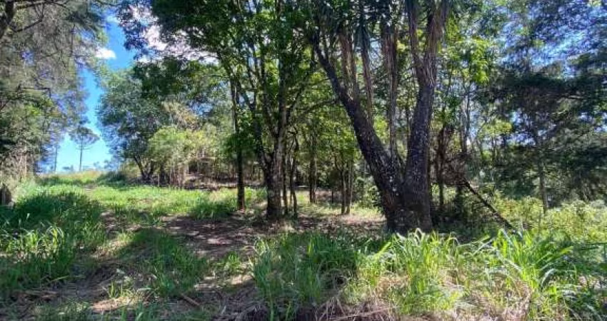 SÍTIO COM NASCENTE EM MEIO A UMA LINDA PAISAGEM EM IGARATÁ