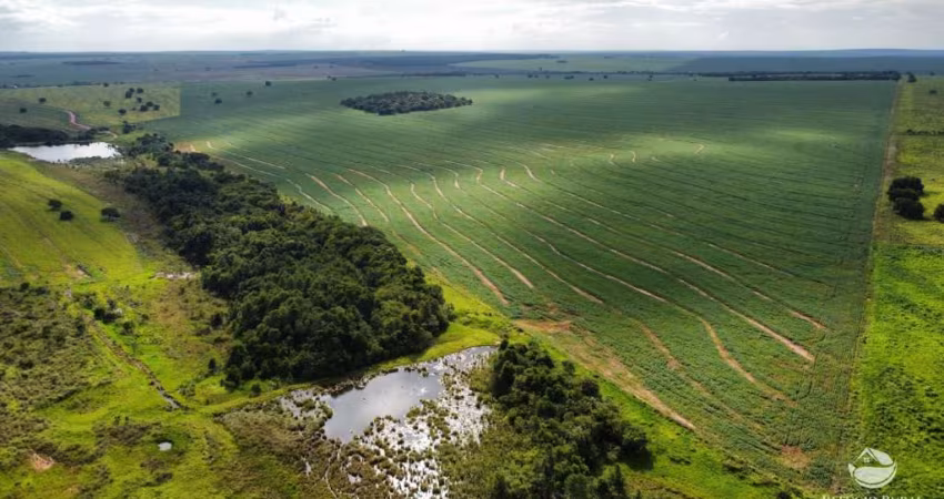 FAZENDA EXCELENTE EM PARAÍSO DAS ÁGUAS/MS