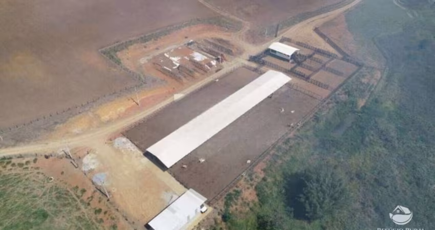 FAZENDA DE 106 ALQUEIRES EM CAÇAPAVA - SP
