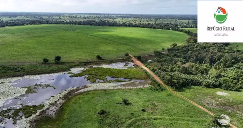 ÓTIMA FAZENDA PARA AGRICULTURA EM RIBAMAR FIQUENE/MA