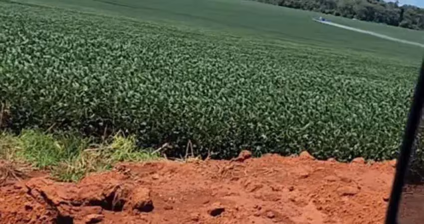 Fazenda incrível próximo a tabaporã/mt - oportunidade única!