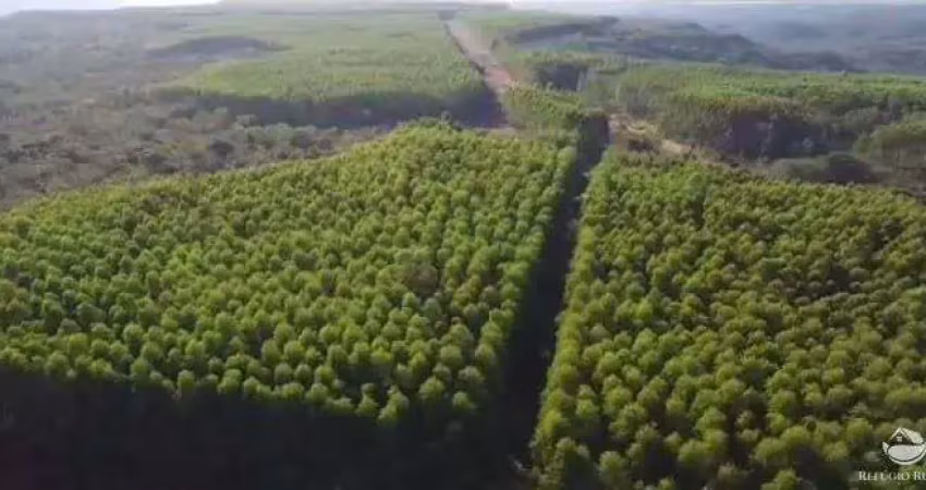Fazenda imperdível -  14.456 hectares com nascentes e córregos