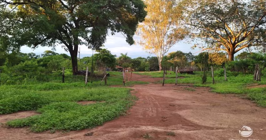 FAZENDA EXCELENTE EM BURITIZEIRO - MG