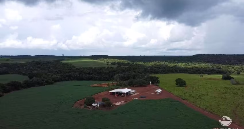 FAZENDA LINDÍSSIMA COM ÓTIMA ESTRUTURA EM PRIMAVERA DO LESTE/MT