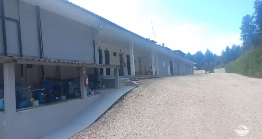 Fazenda à venda no Jardim do Leste, Londrina 