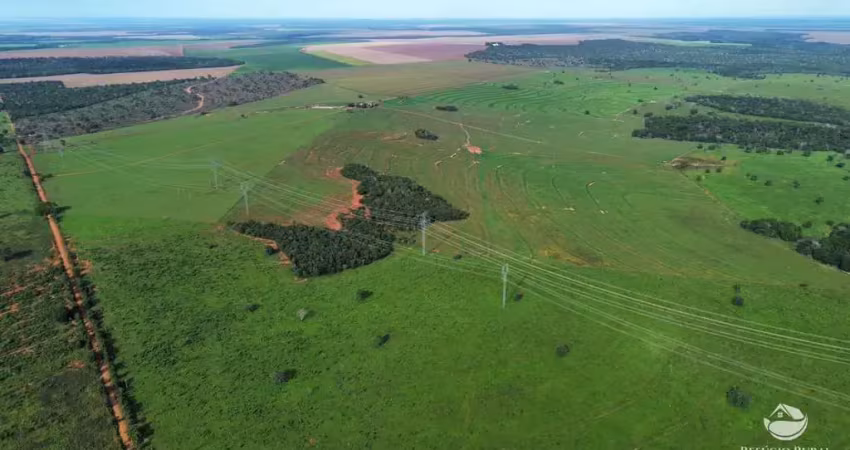 Fazenda à venda no Centro, Novo São Joaquim 